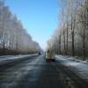 IMG 1943