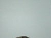 DSC00103