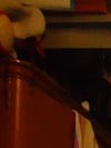 DSC00190