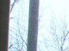 DSC04547