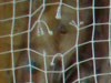DSC04554