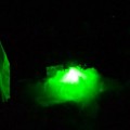 DSC 0175 1